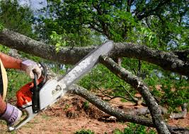 Best Lot and Land Clearing  in Henderson, TX